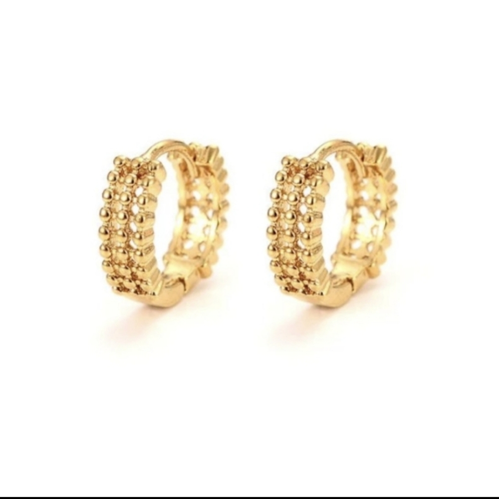 New Gorjana Earrings